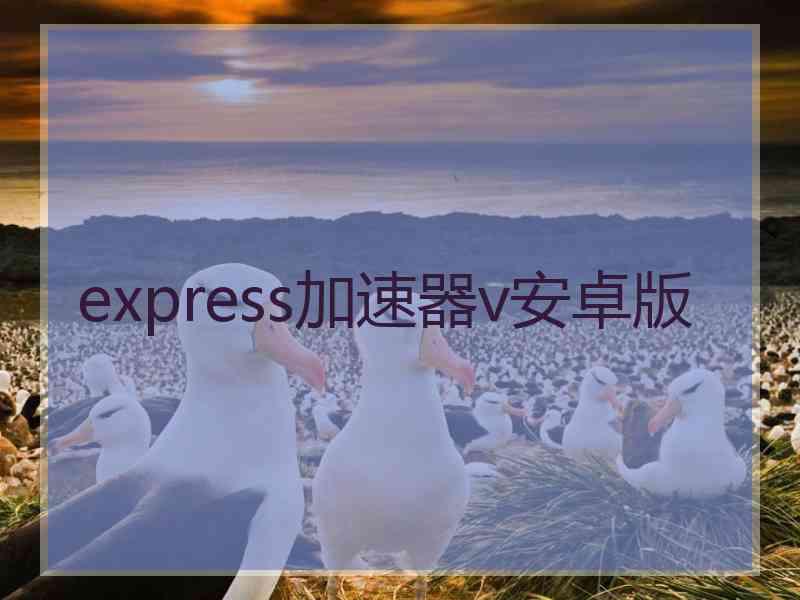 express加速器v安卓版