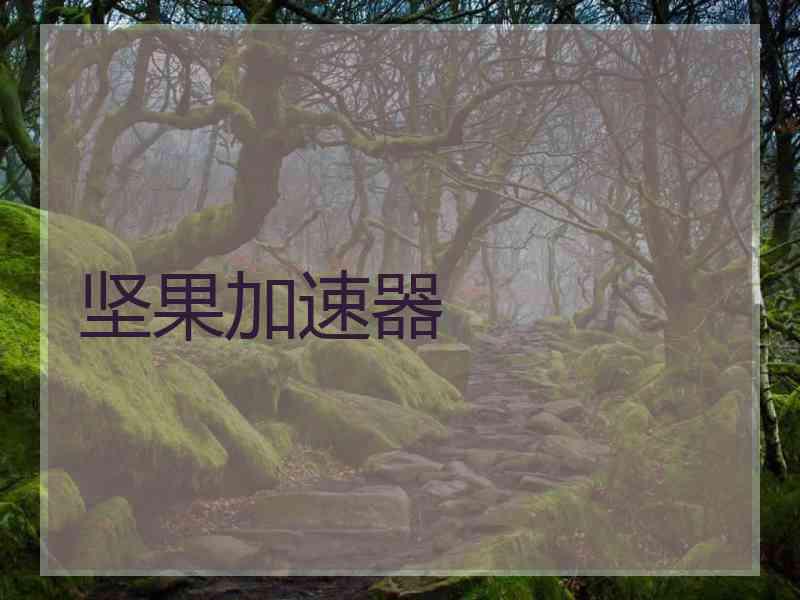 坚果加速器