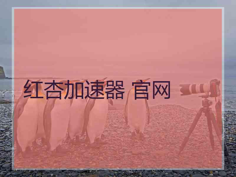红杏加速器 官网