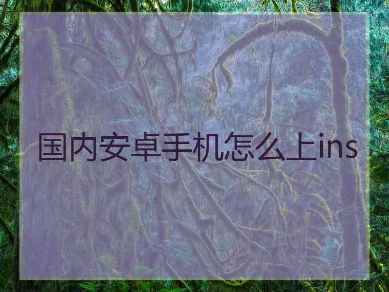 国内安卓手机怎么上ins
