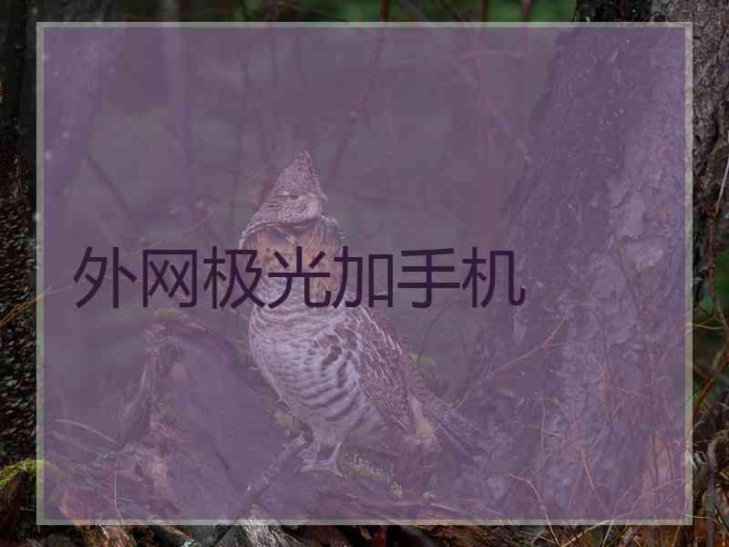 外网极光加手机