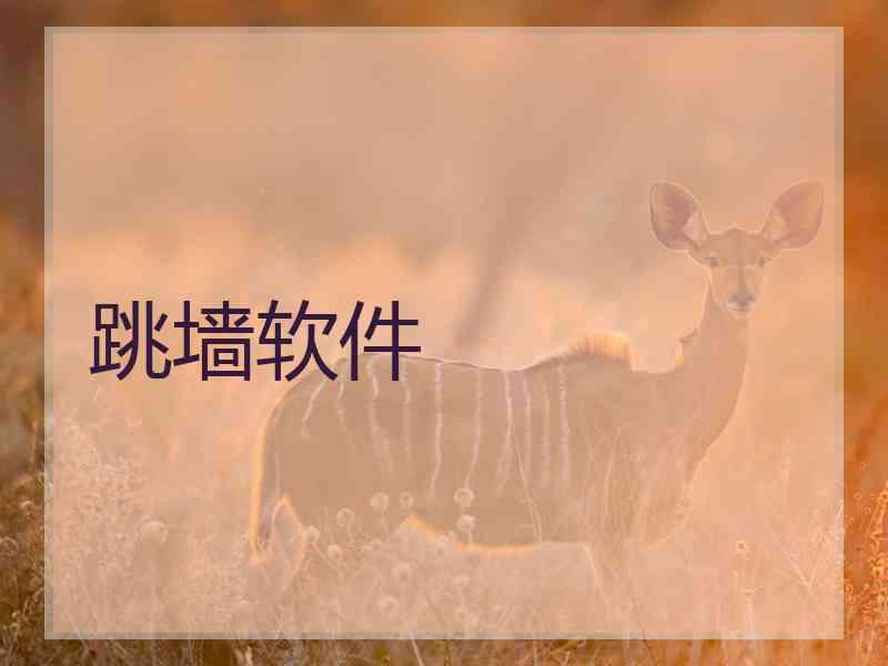 跳墙软件