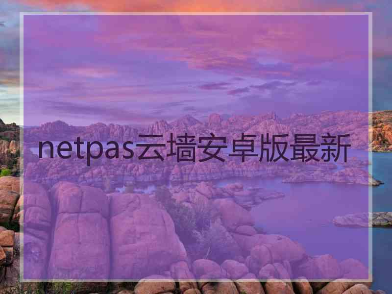 netpas云墙安卓版最新