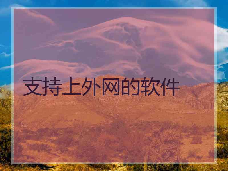 支持上外网的软件