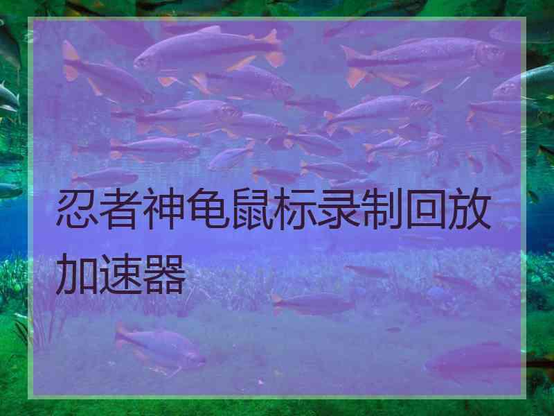 忍者神龟鼠标录制回放加速器