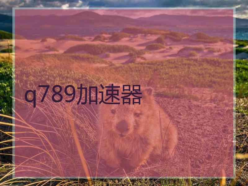 q789加速器
