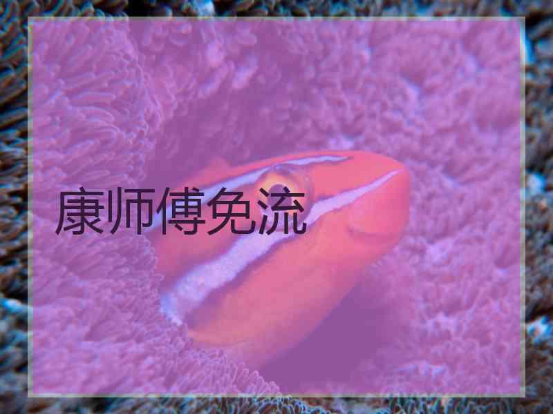 康师傅免流