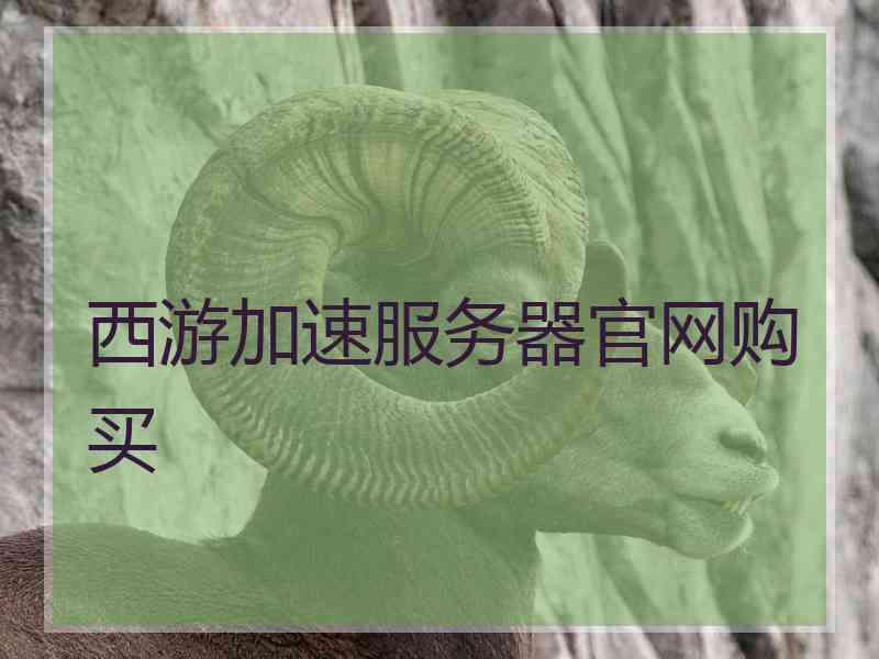 西游加速服务器官网购买