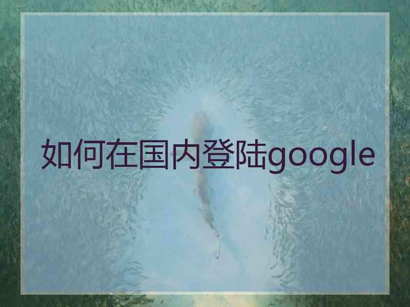 如何在国内登陆google