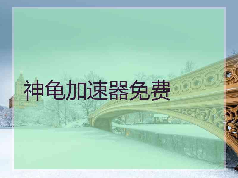 神龟加速器免费