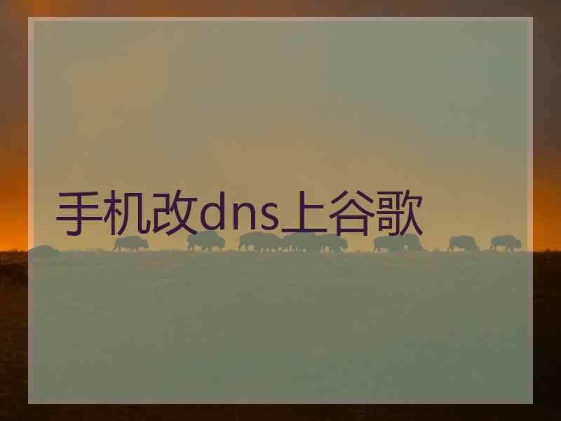 手机改dns上谷歌