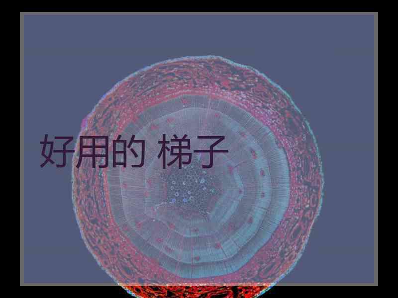 好用的 梯子