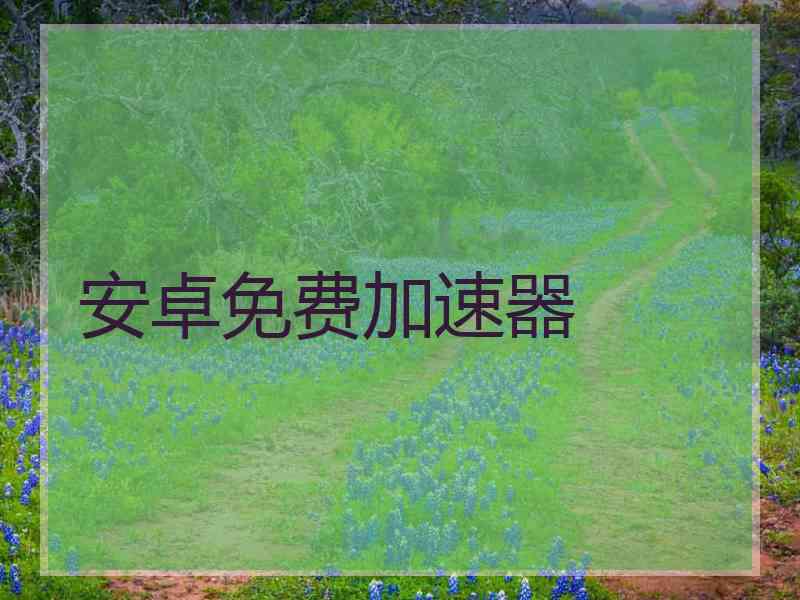 安卓免费加速器