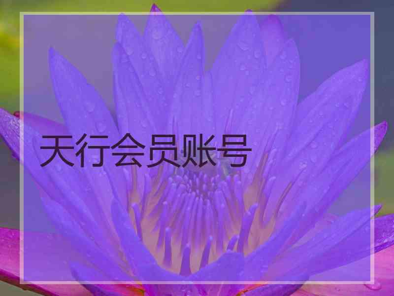 天行会员账号