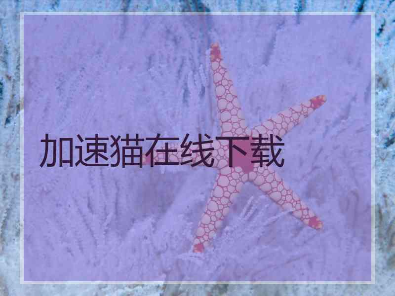加速猫在线下载