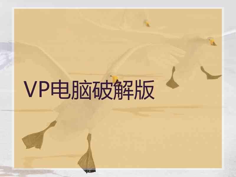 VP电脑破解版