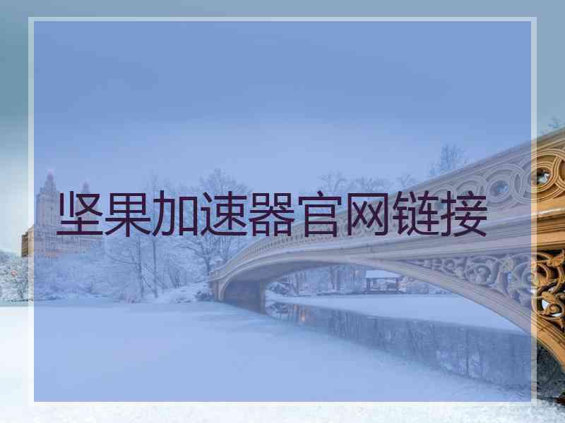 坚果加速器官网链接