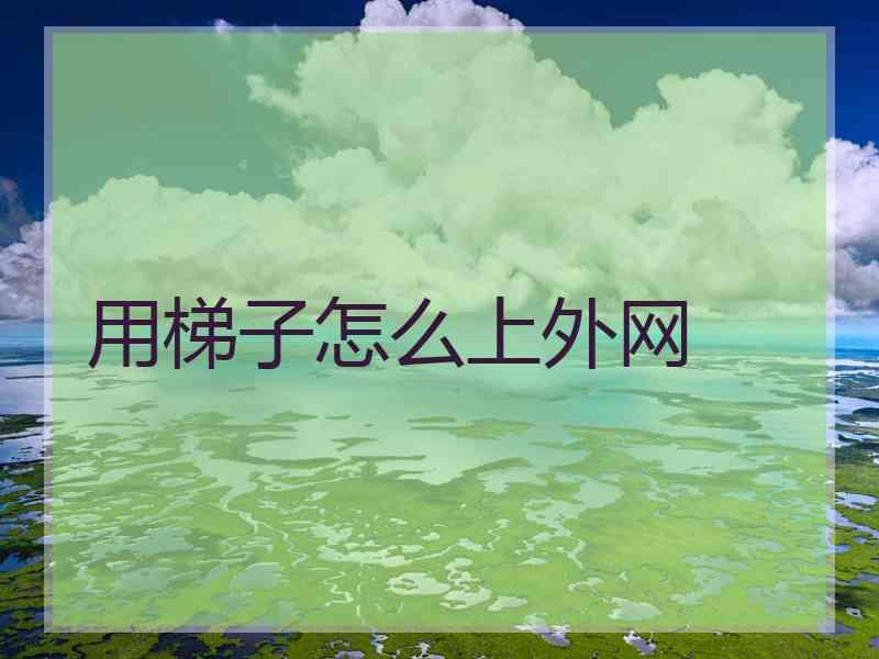 用梯子怎么上外网