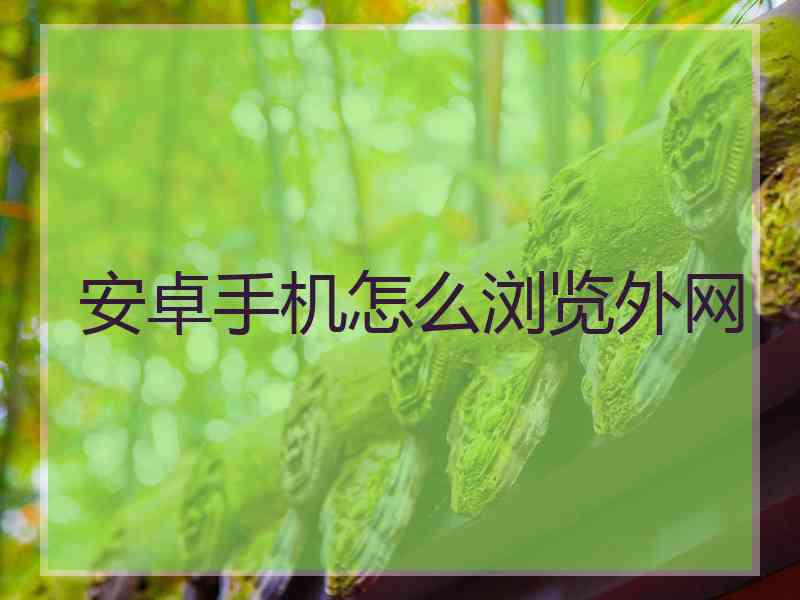 安卓手机怎么浏览外网