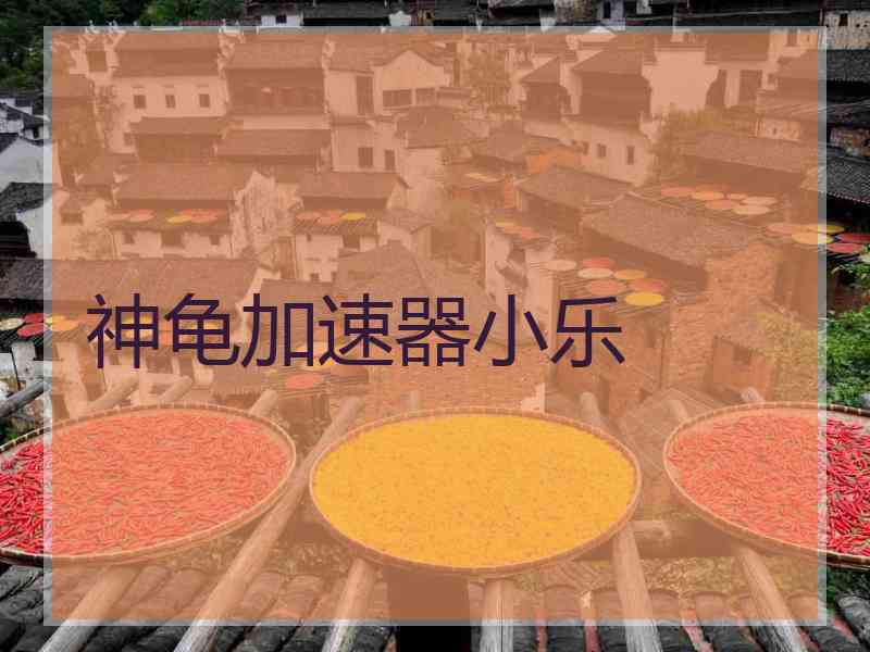 神龟加速器小乐
