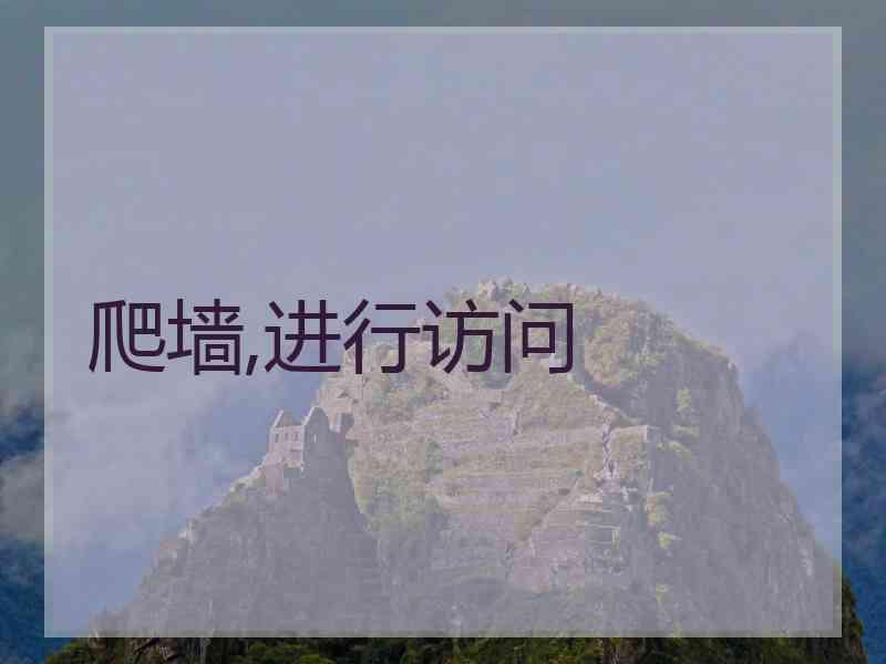 爬墙,进行访问