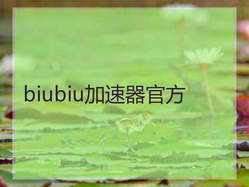 biubiu加速器官方
