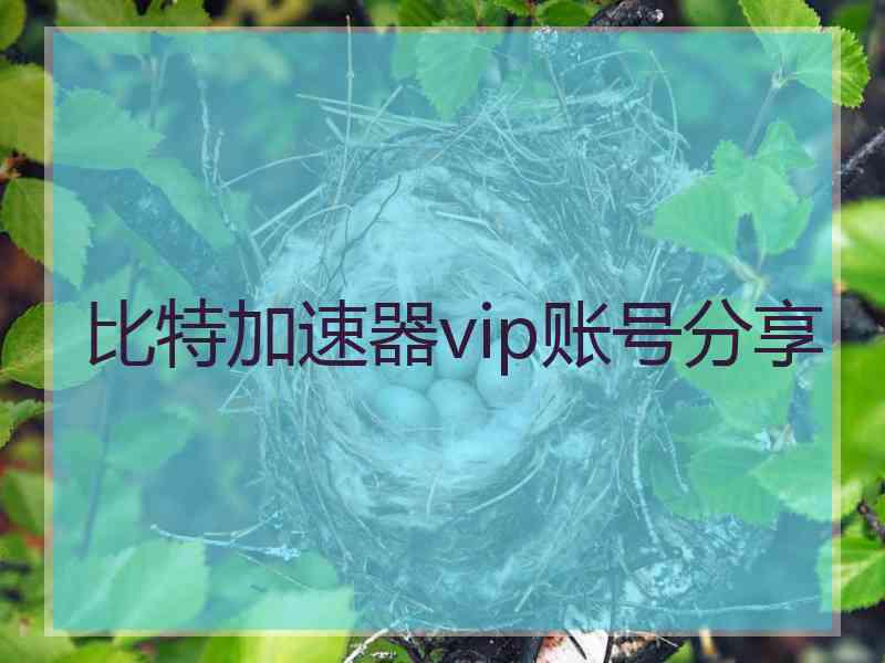 比特加速器vip账号分享