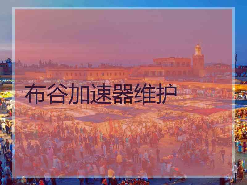 布谷加速器维护