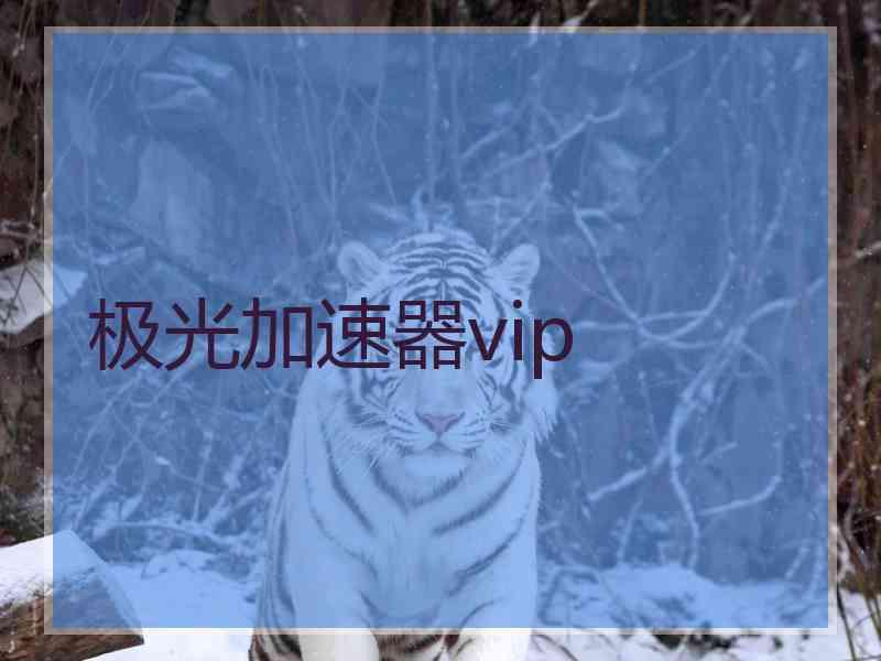 极光加速器vip