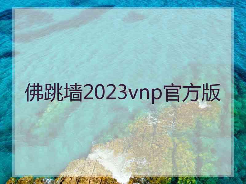 佛跳墙2023vnp官方版