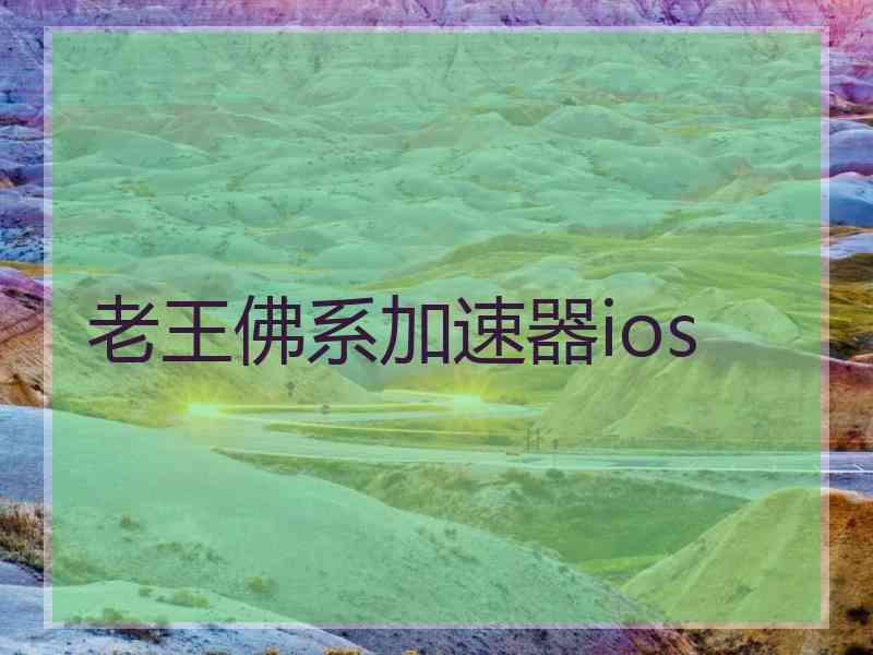 老王佛系加速器ios