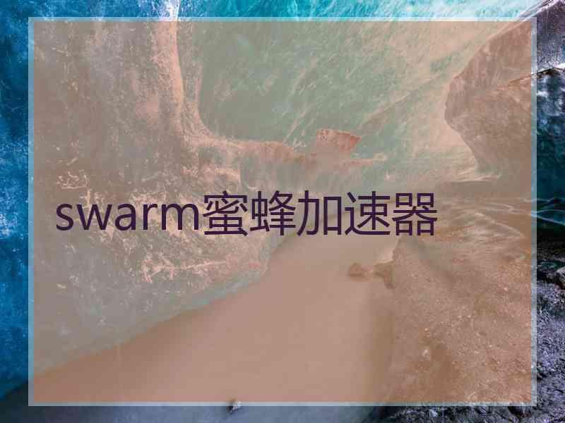 swarm蜜蜂加速器