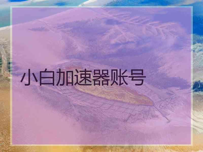 小白加速器账号