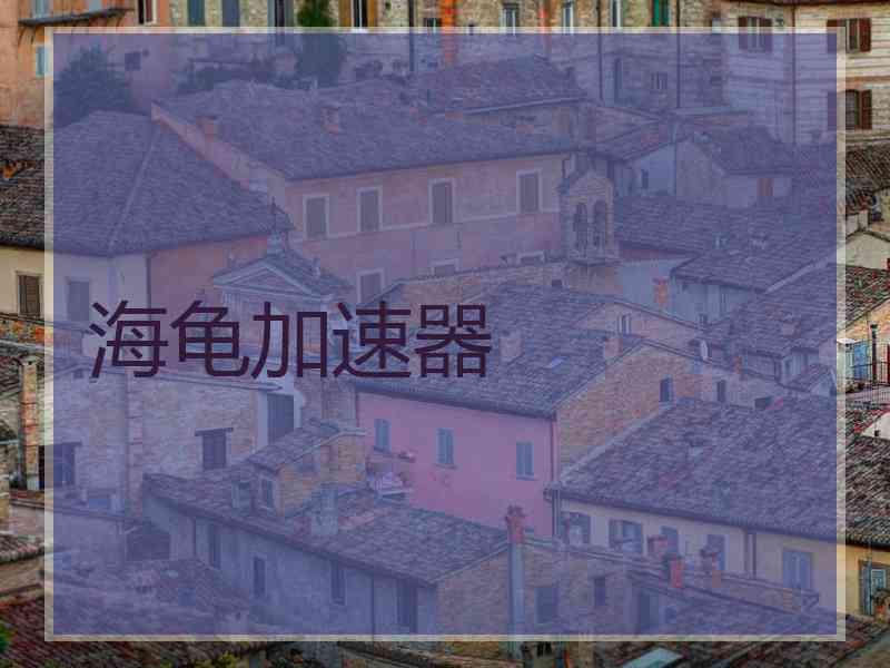 海龟加速器