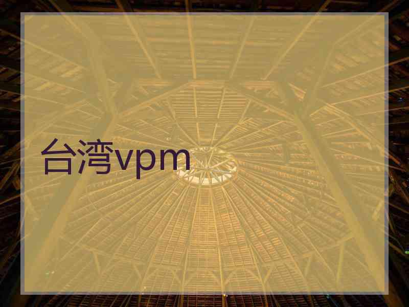台湾vpm