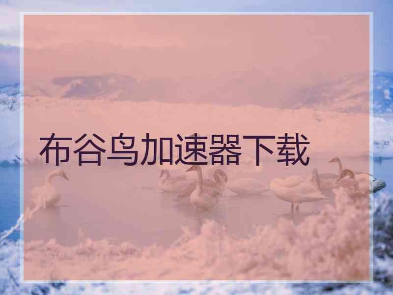 布谷鸟加速器下载