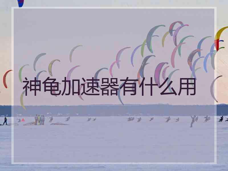 神龟加速器有什么用