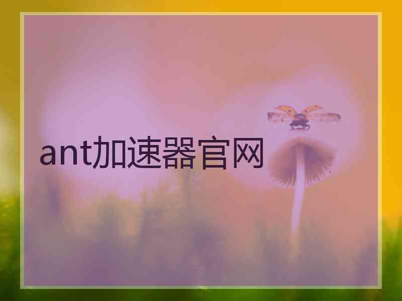 ant加速器官网