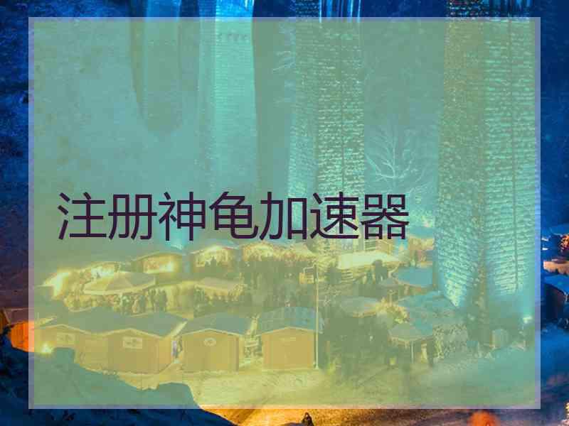 注册神龟加速器