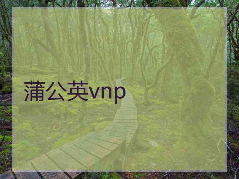 蒲公英vnp