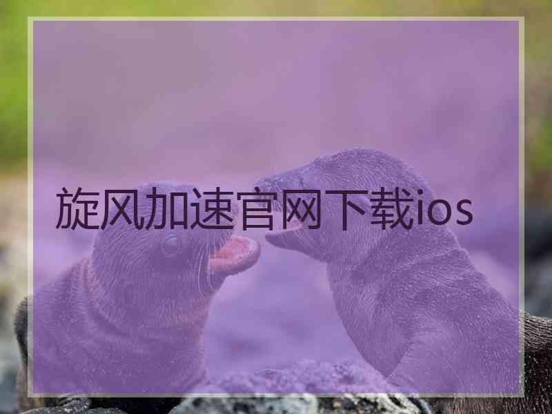 旋风加速官网下载ios