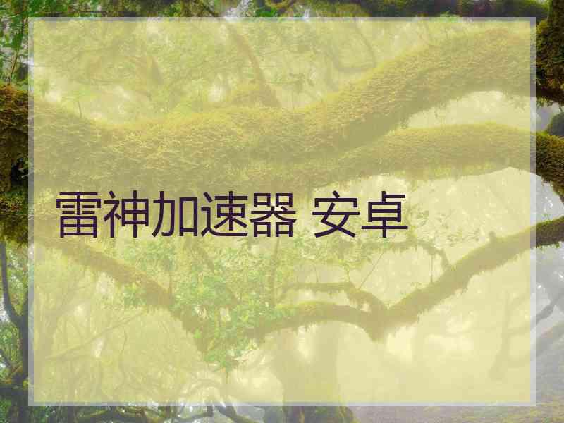 雷神加速器 安卓