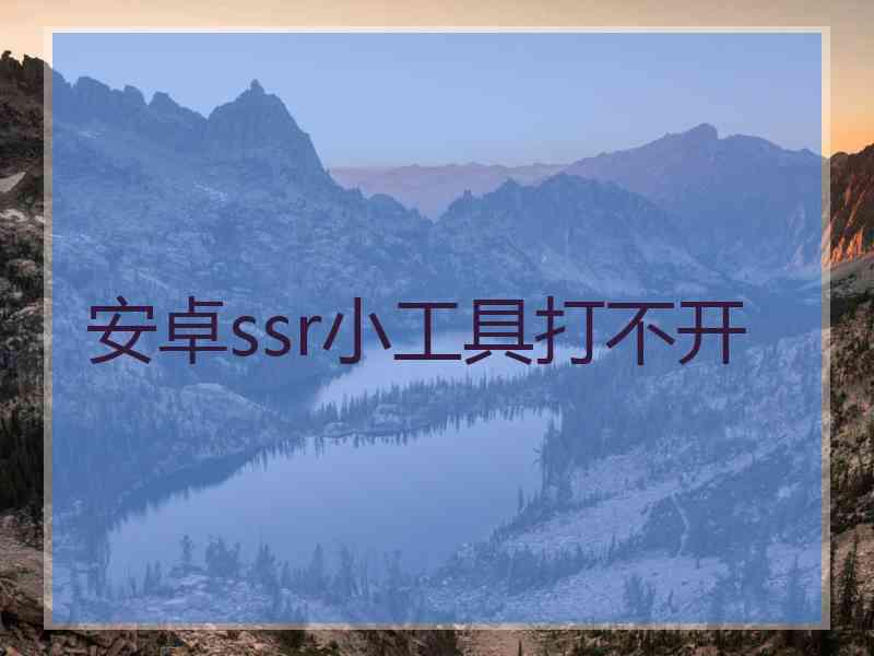 安卓ssr小工具打不开