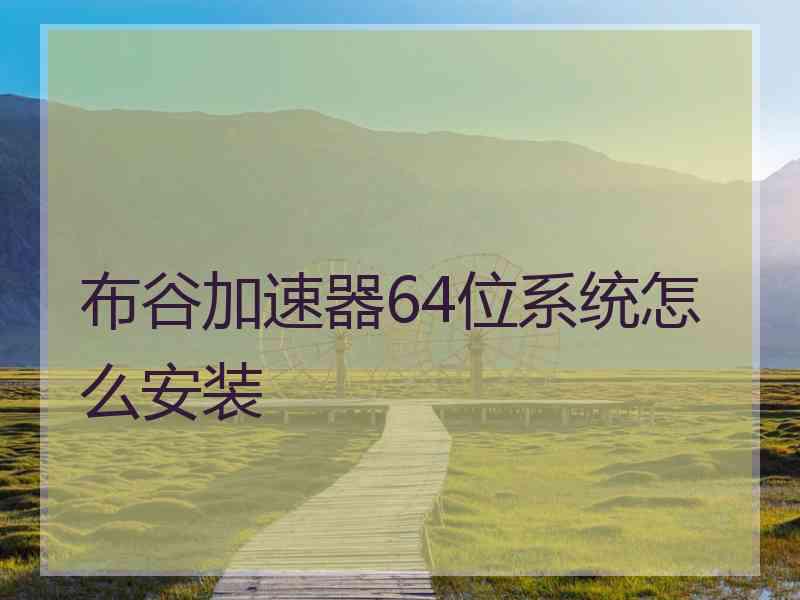 布谷加速器64位系统怎么安装