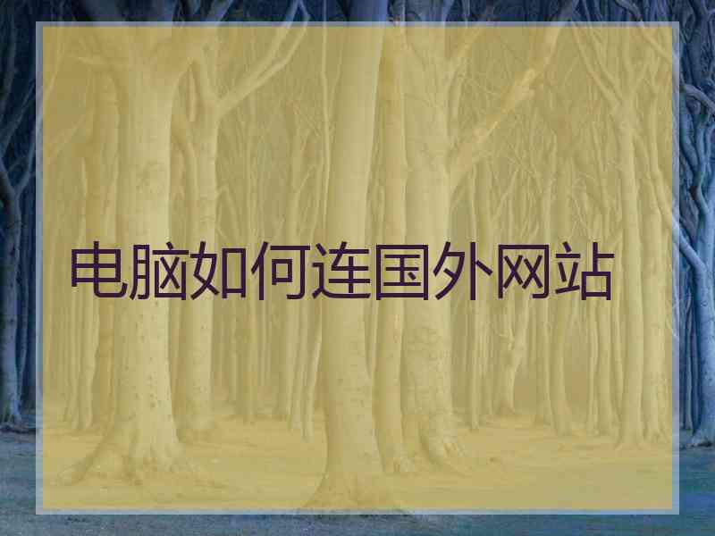 电脑如何连国外网站