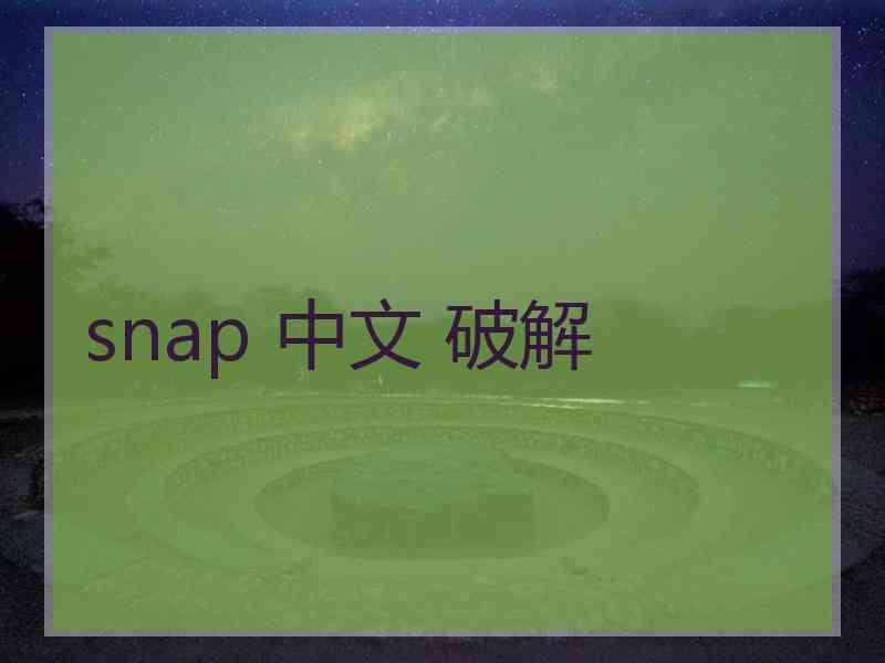 snap 中文 破解