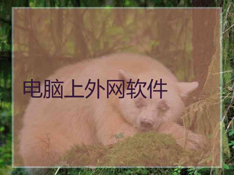 电脑上外网软件