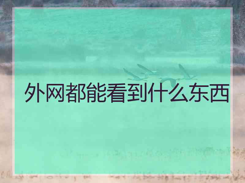 外网都能看到什么东西