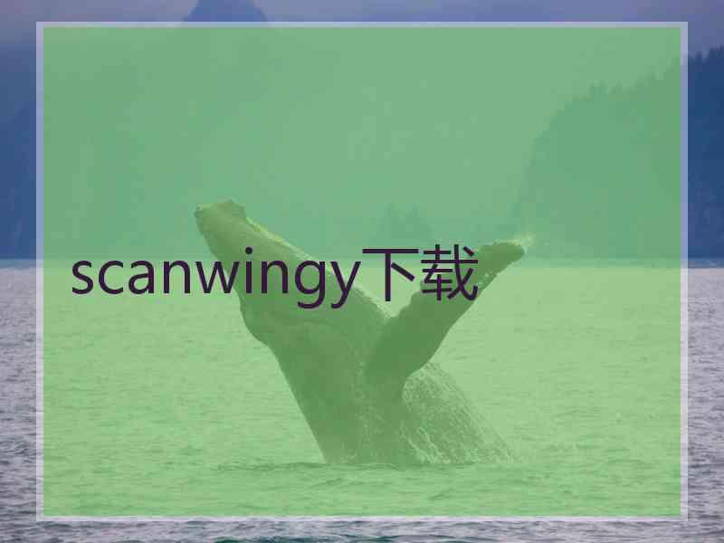 scanwingy下载