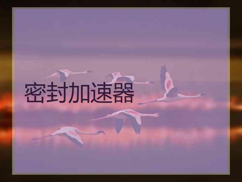密封加速器